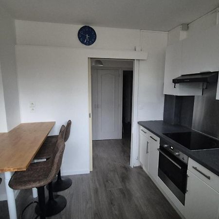 Appartement Spacieux & Paisible Meythet المظهر الخارجي الصورة